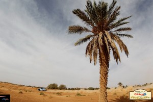 Рали Мароко 2012: снимки и видео от първите три етапа