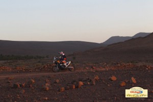 morocco_rally_2014_winner_bikes
